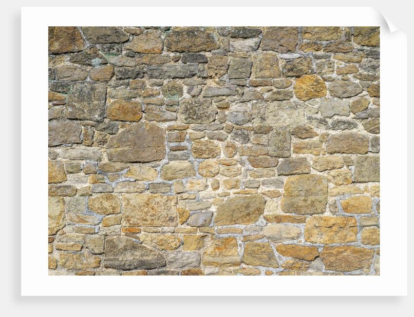Brickwall by Assaf Frank